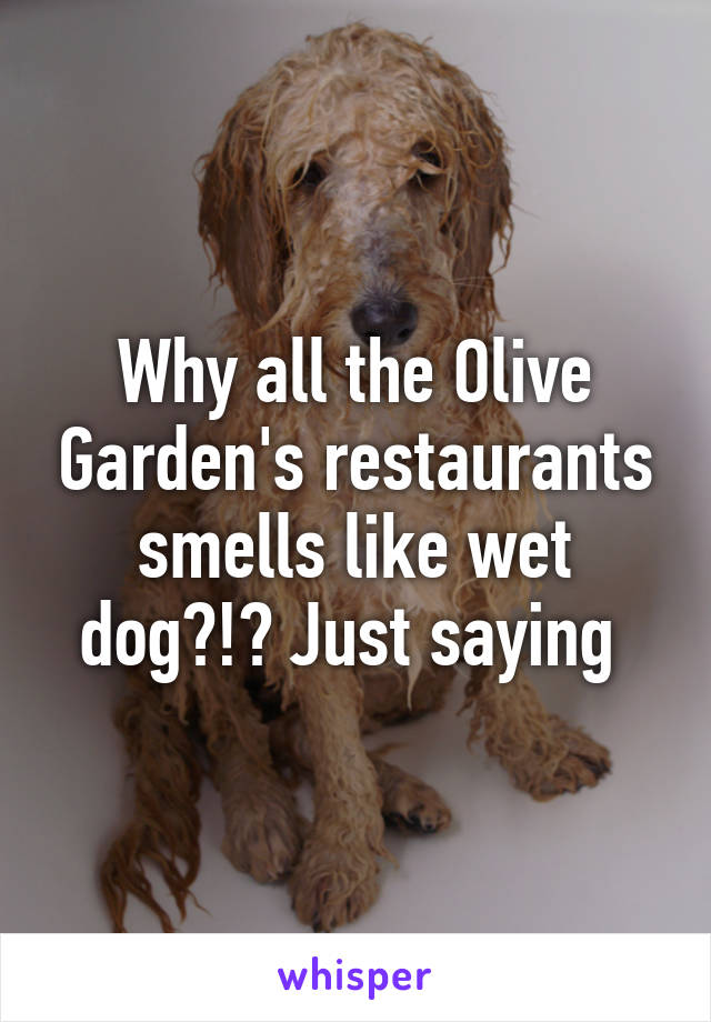 Why all the Olive Garden's restaurants smells like wet dog?!? Just saying 