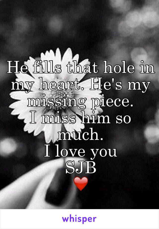 He fills that hole in my heart. He's my missing piece. 
I miss him so much. 
I love you
SJB
❤️