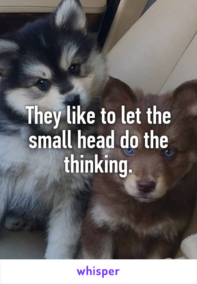 They like to let the small head do the thinking.