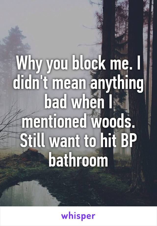 Why you block me. I didn't mean anything bad when I mentioned woods. Still want to hit BP bathroom