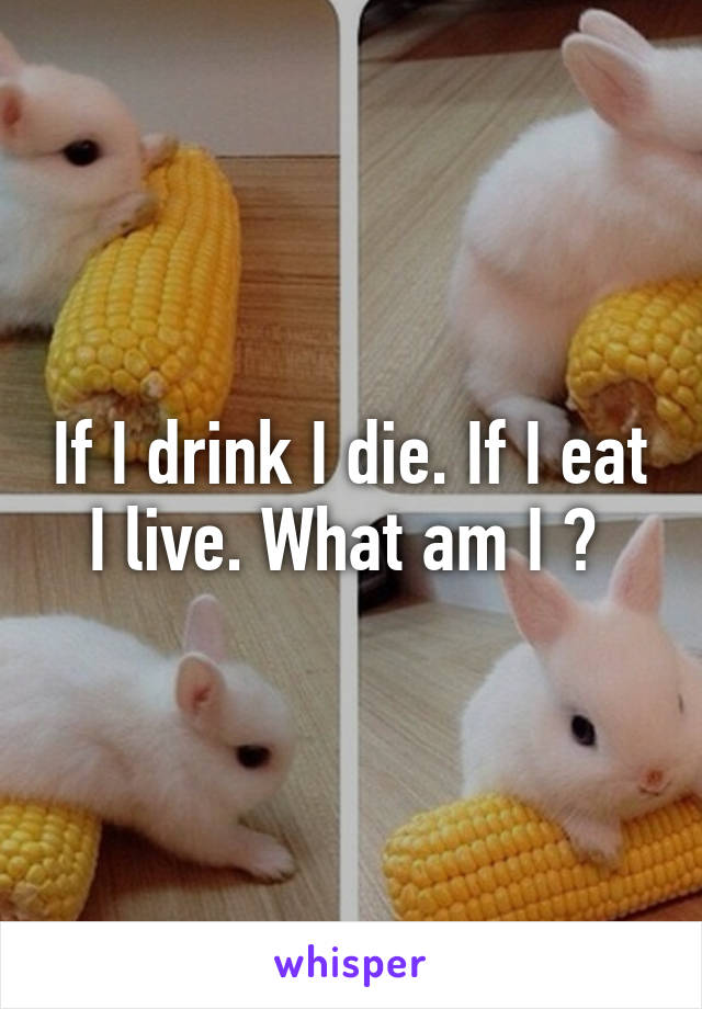 If I drink I die. If I eat I live. What am I ? 