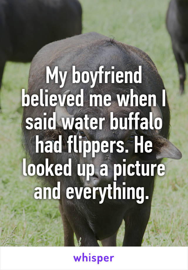 My boyfriend believed me when I said water buffalo had flippers. He looked up a picture and everything. 