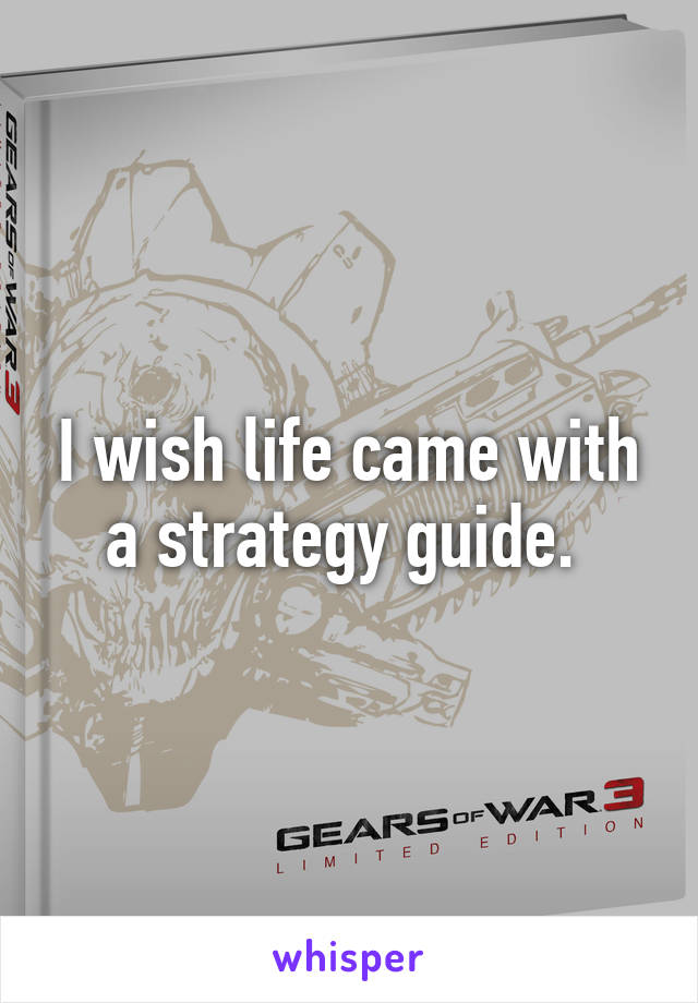 I wish life came with a strategy guide. 