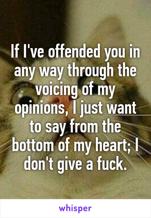 If I've offended you in any way through the voicing of my opinions, I just want to say from the bottom of my heart; I don't give a fuck.