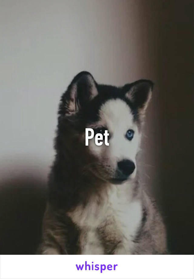 Pet