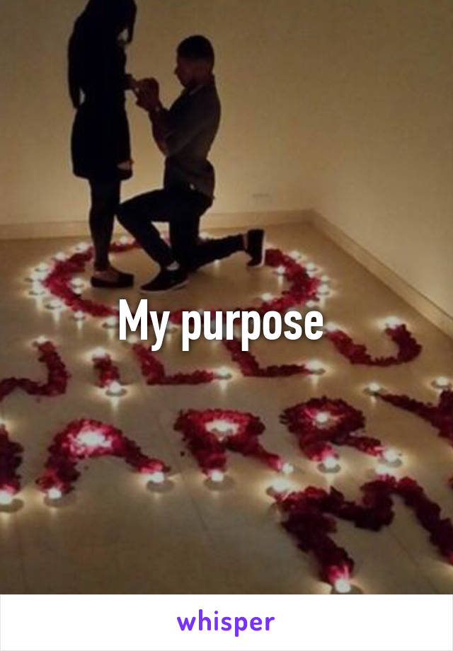 My purpose 