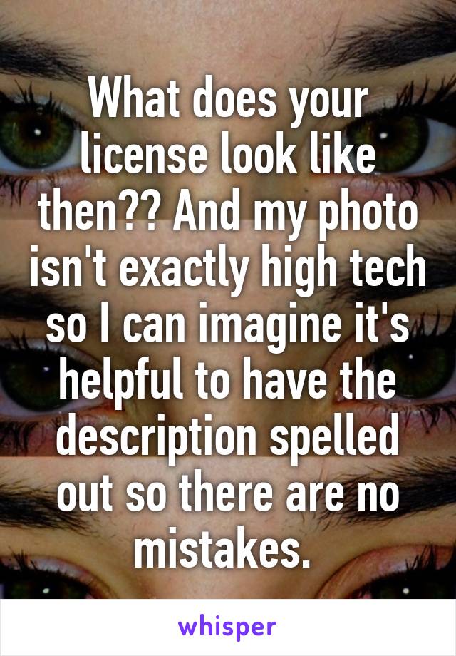 What does your license look like then?? And my photo isn't exactly high tech so I can imagine it's helpful to have the description spelled out so there are no mistakes. 