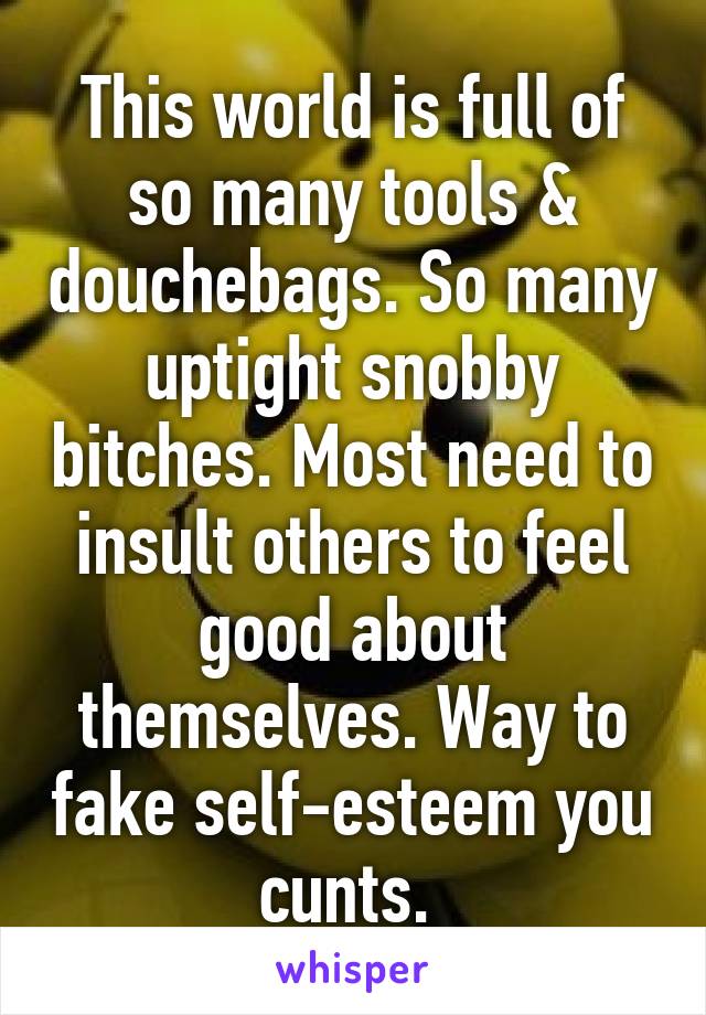 This world is full of so many tools & douchebags. So many uptight snobby bitches. Most need to insult others to feel good about themselves. Way to fake self-esteem you cunts. 