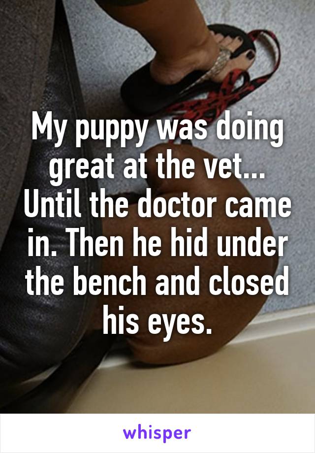 My puppy was doing great at the vet... Until the doctor came in. Then he hid under the bench and closed his eyes.