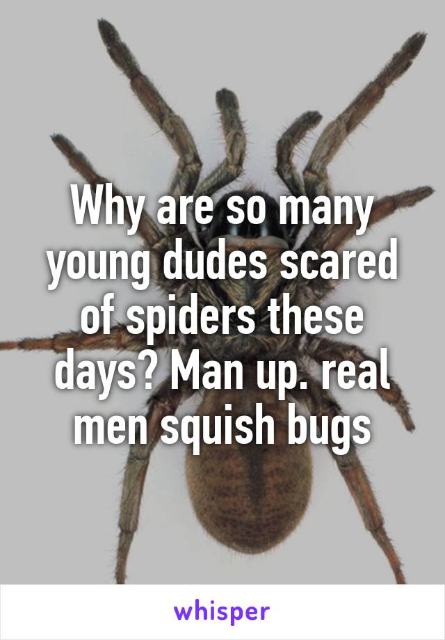 Why are so many young dudes scared of spiders these days? Man up. real men squish bugs