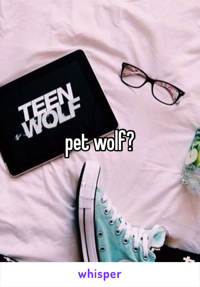 pet wolf?