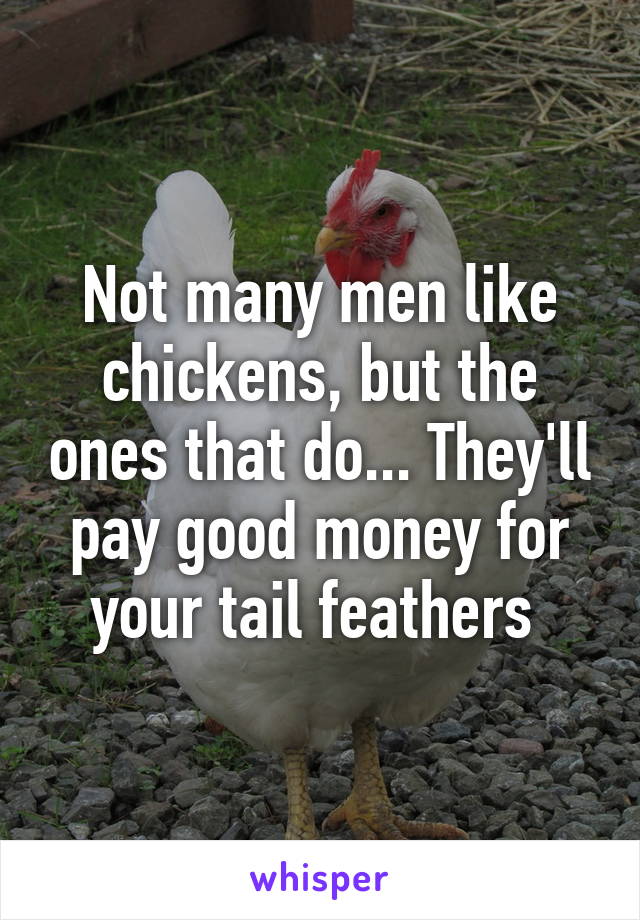 Not many men like chickens, but the ones that do... They'll pay good money for your tail feathers 