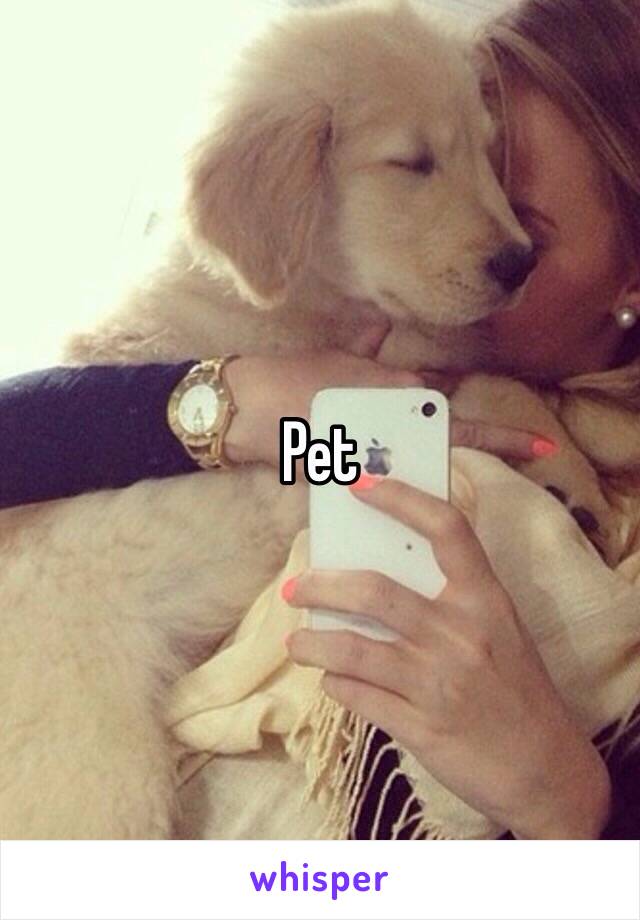 Pet