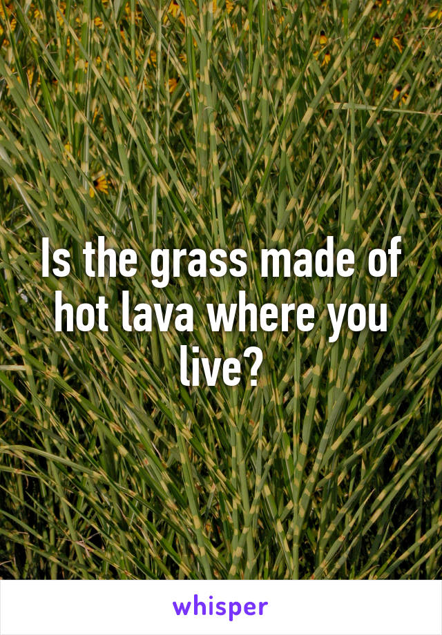 Is the grass made of hot lava where you live?