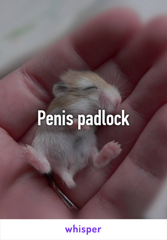Penis padlock