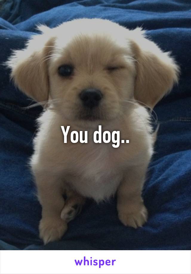 You dog..