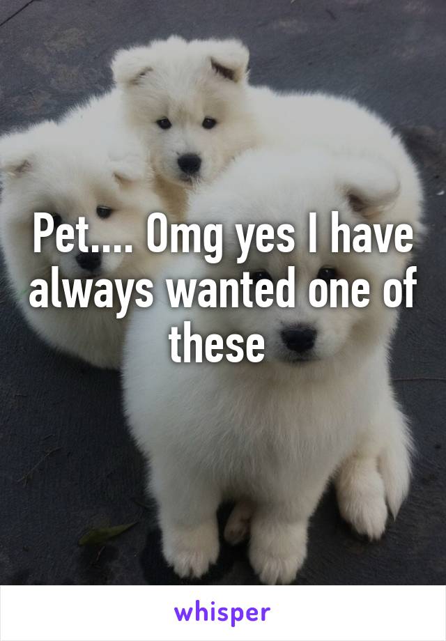 Pet.... Omg yes I have always wanted one of these 
