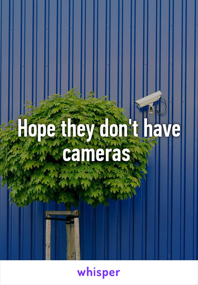Hope they don't have cameras 