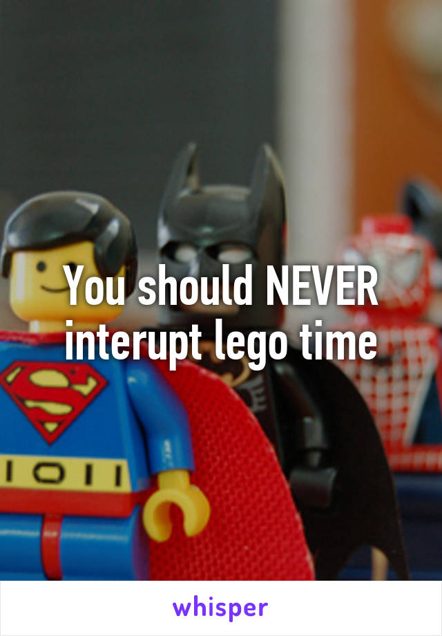 You should NEVER interupt lego time