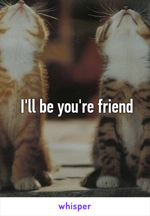  I'll be you're friend