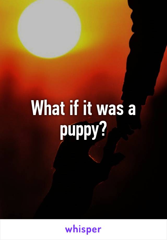 What if it was a puppy?