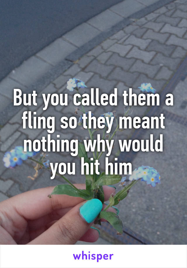 But you called them a fling so they meant nothing why would you hit him 