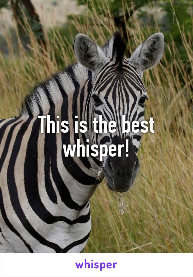 This is the best whisper!