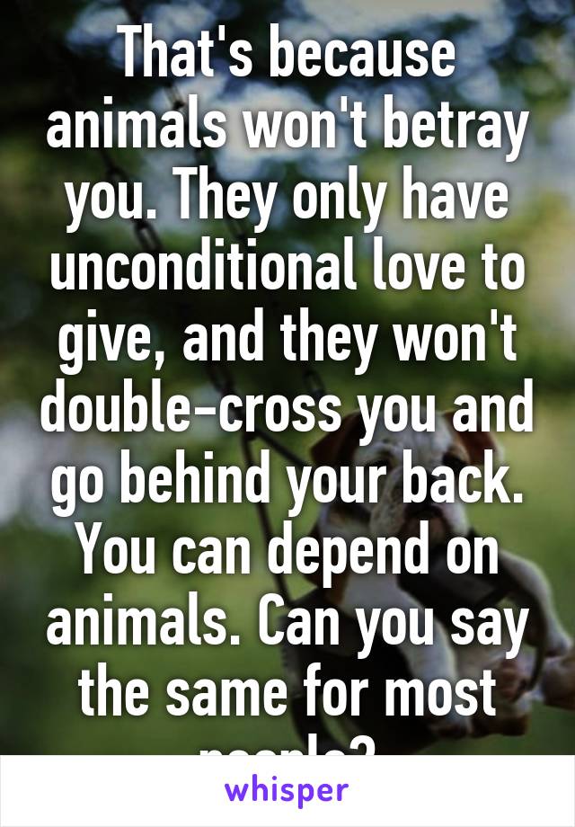 That's because animals won't betray you. They only have unconditional love to give, and they won't double-cross you and go behind your back. You can depend on animals. Can you say the same for most people?