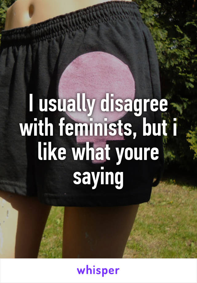 I usually disagree with feminists, but i like what youre saying