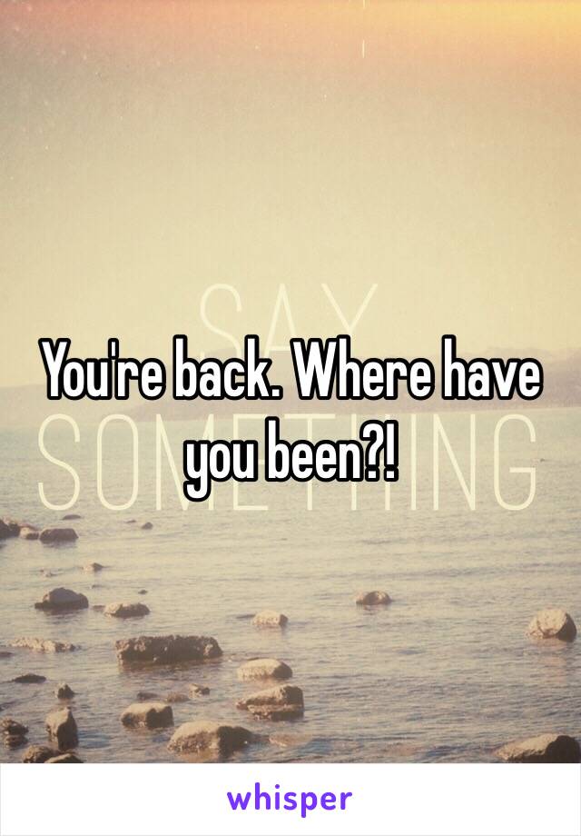 You're back. Where have you been?!