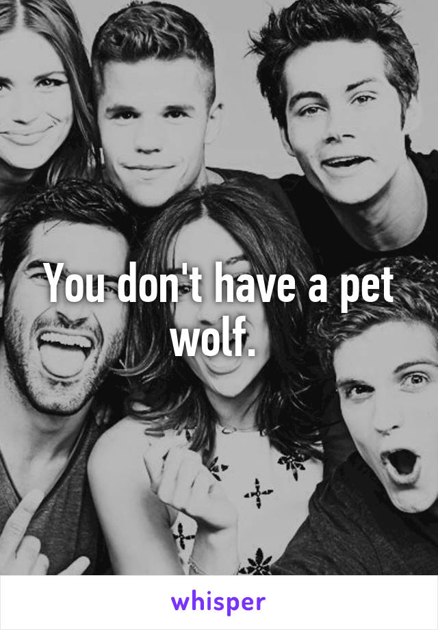 You don't have a pet wolf. 