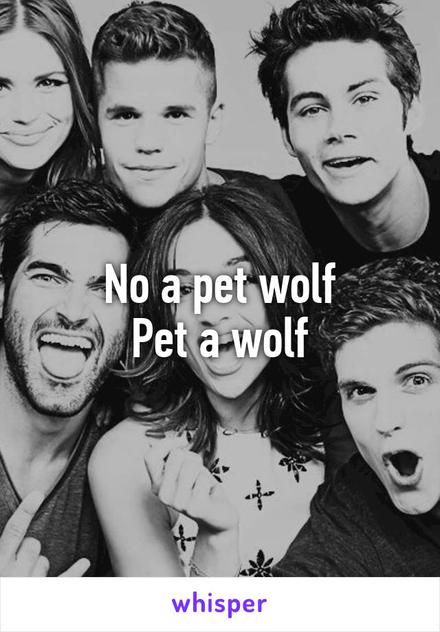 No a pet wolf
Pet a wolf