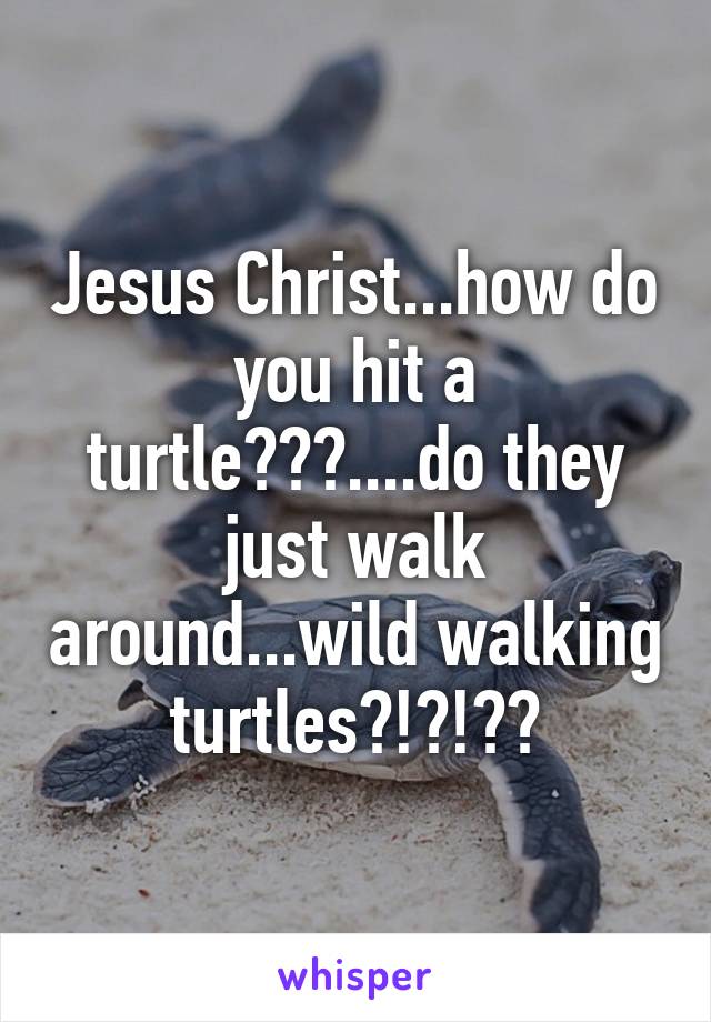 Jesus Christ...how do you hit a turtle???....do they just walk around...wild walking turtles?!?!??