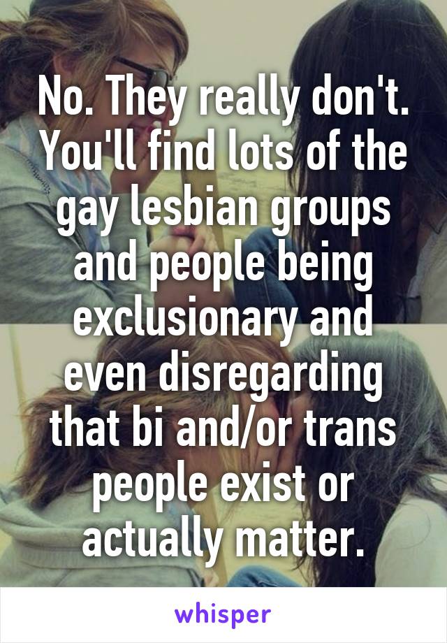 No. They really don't. You'll find lots of the gay lesbian groups and people being exclusionary and even disregarding that bi and/or trans people exist or actually matter.