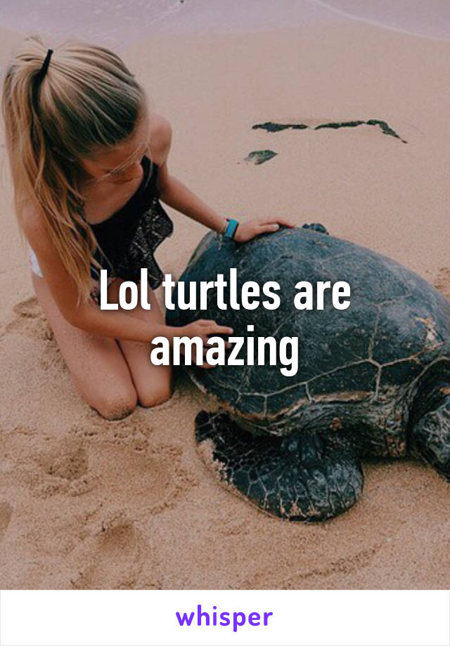 Lol turtles are amazing