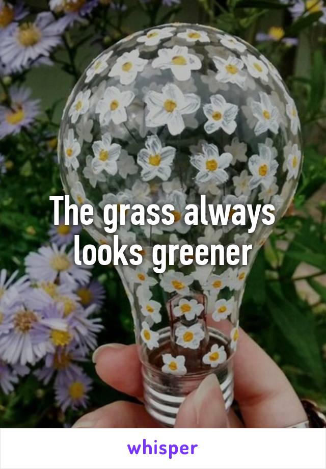 The grass always looks greener
