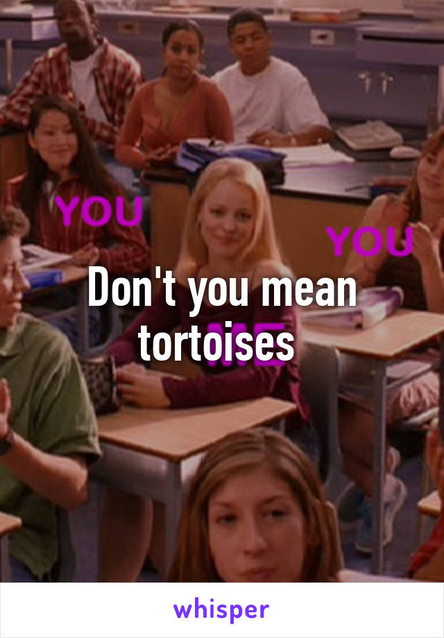 Don't you mean tortoises 