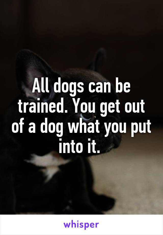 All dogs can be trained. You get out of a dog what you put into it. 