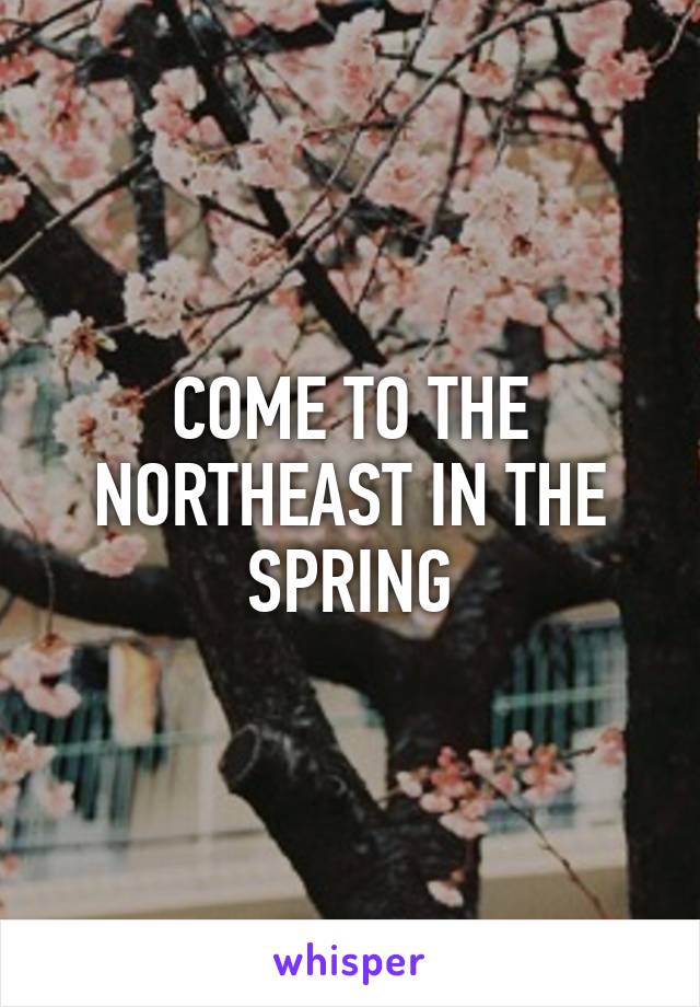 COME TO THE NORTHEAST IN THE SPRING