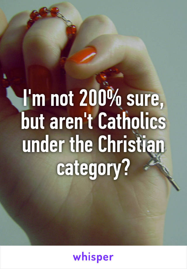 I'm not 200% sure, but aren't Catholics under the Christian category?