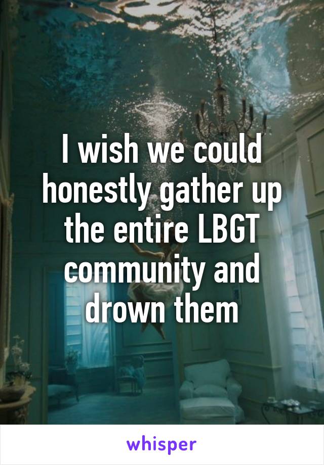 I wish we could honestly gather up the entire LBGT community and drown them