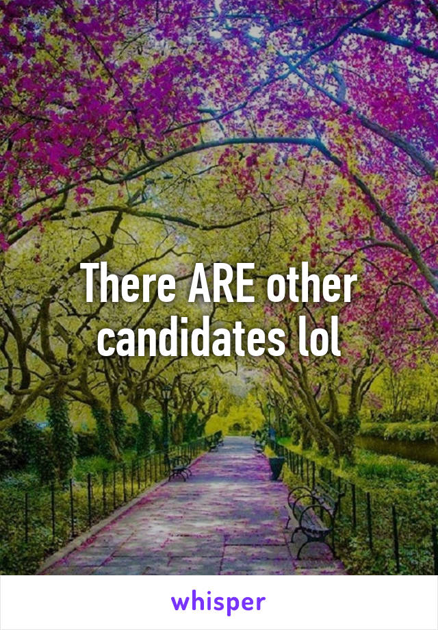 There ARE other candidates lol