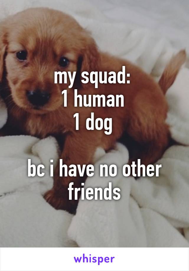 my squad: 
1 human 
1 dog 

bc i have no other friends