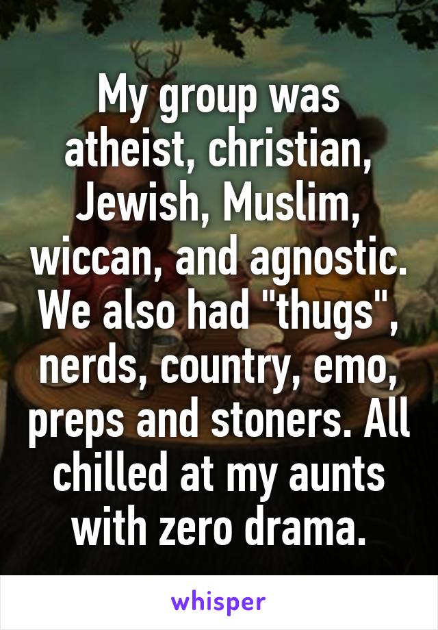 My group was atheist, christian, Jewish, Muslim, wiccan, and agnostic. We also had "thugs", nerds, country, emo, preps and stoners. All chilled at my aunts with zero drama.