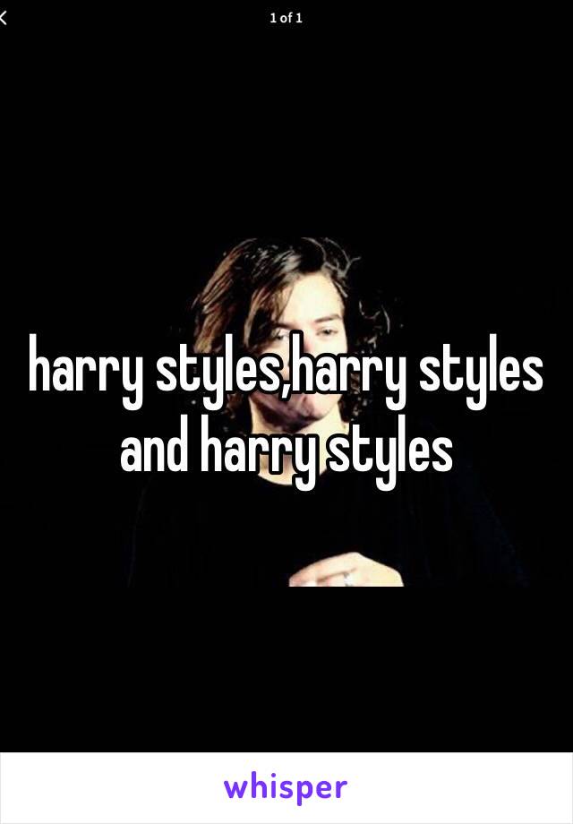 harry styles,harry styles and harry styles 