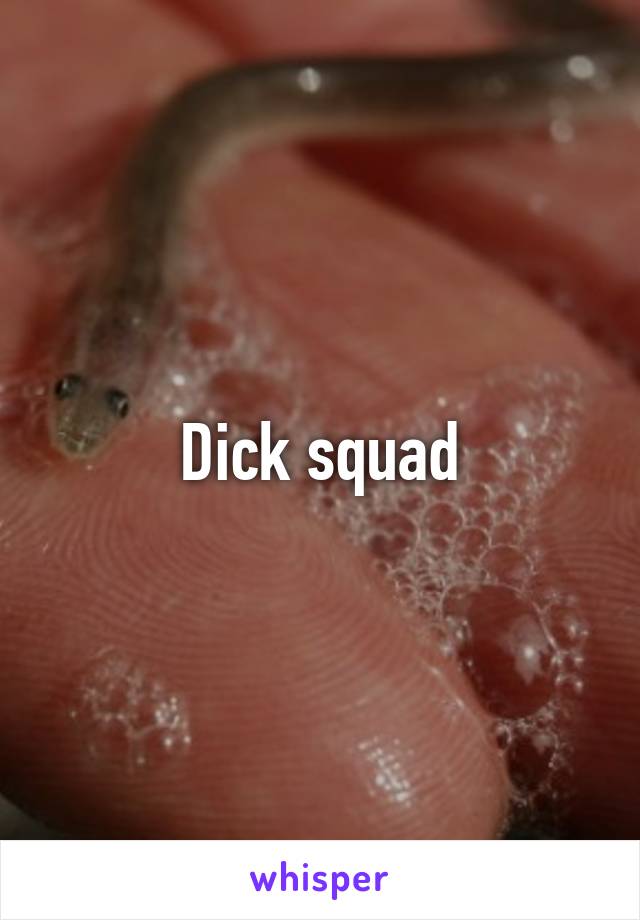 Dick squad