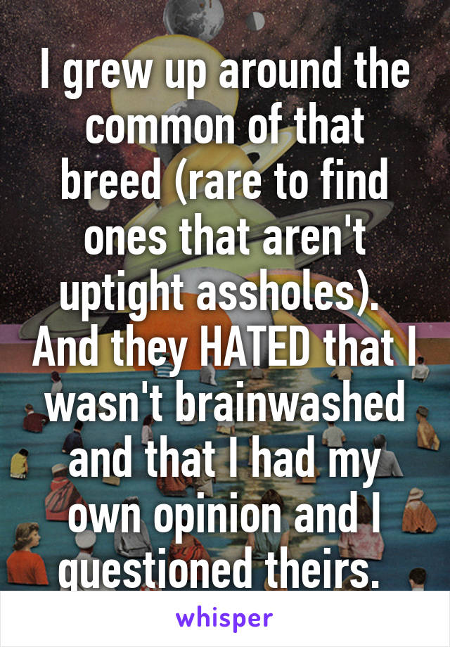 I grew up around the common of that breed (rare to find ones that aren't uptight assholes).  And they HATED that I wasn't brainwashed and that I had my own opinion and I questioned theirs. 