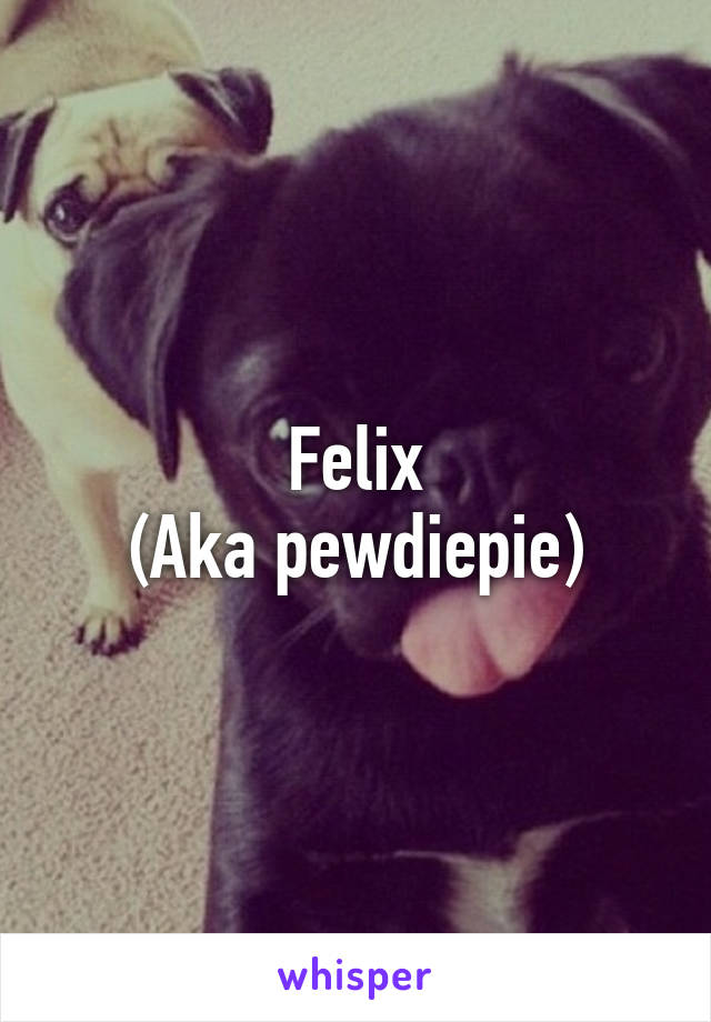 Felix
(Aka pewdiepie)