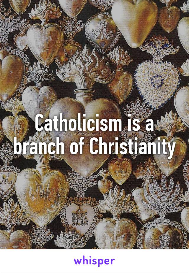 Catholicism is a branch of Christianity