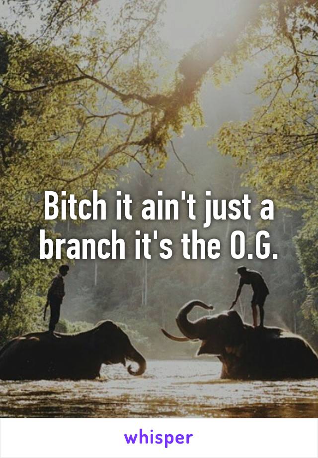 Bitch it ain't just a branch it's the O.G.